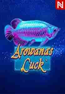 AROWANAS LUCK